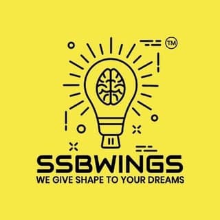 SSBWINGS
