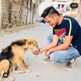 animal lover 🐶