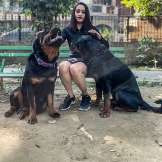 Namita Dua - Namitaology (BUBZEE , LADY OLLIE & ZOEY)