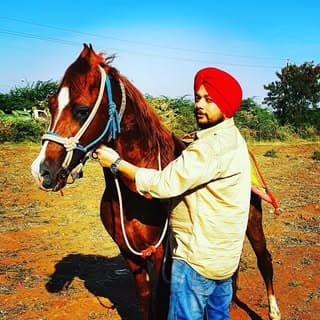 Sunny Paji Punjab