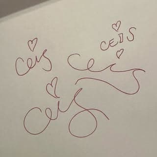 ceis