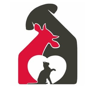 IndieLove Welfare Foundation