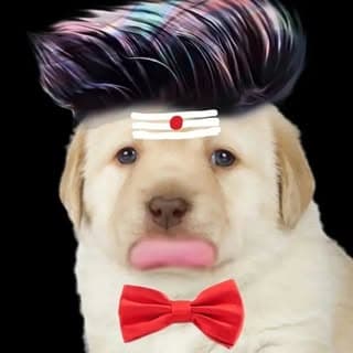 Maja Perro