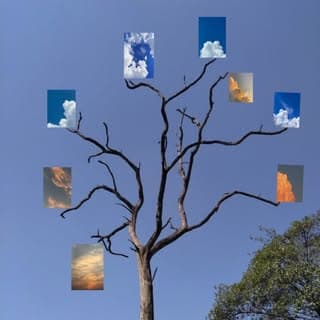 Tales of clouds