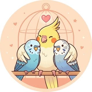 Mango🥭 Tango🍊ketchup🦋 Burfi🐥