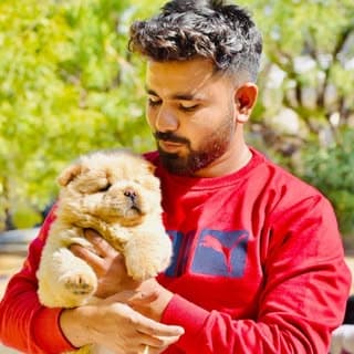Petlover Kana