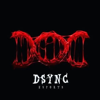 D乛Sync EsportS
