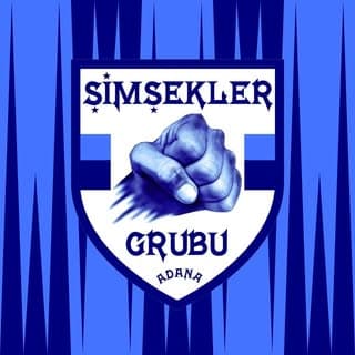 Şimşekler Grubu