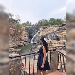 Krishna Dey