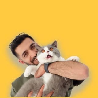 Süleyman