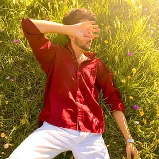 zaid malik