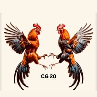 cg_bijapur_fight_