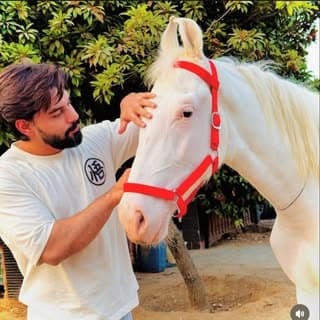 Syed yawar chishty
