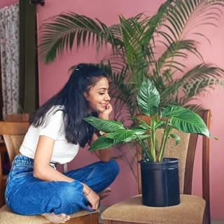 PRAKRITI'S GARDEN