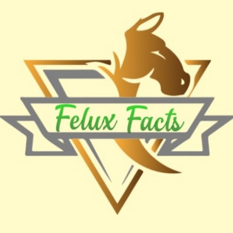 Felux Facts