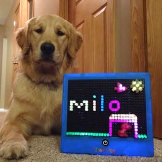 Milo, Moose & Minnie
