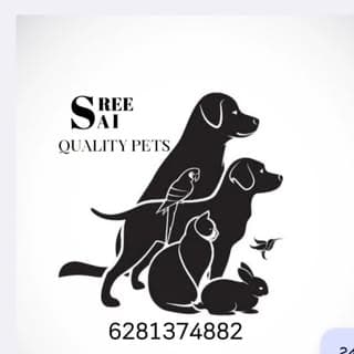 sree sai quality pets tuni