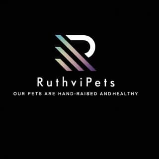 Ruthvi Pets Chennai