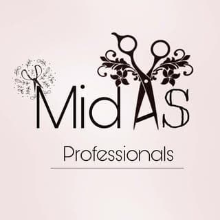 MIDAS PROFESSIONALS