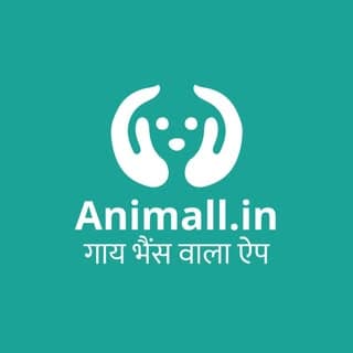 Animall.in