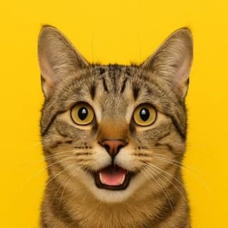 fun_wth_pets