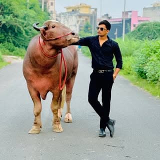Bull Rider