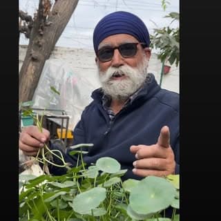 Harjeet Singh Bajwa