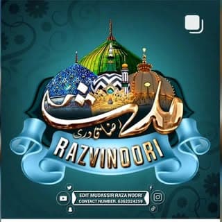 Mudassir Raza Noori
