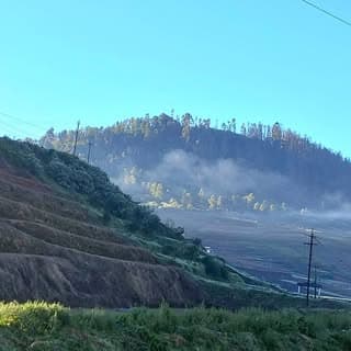 Ooty TN43