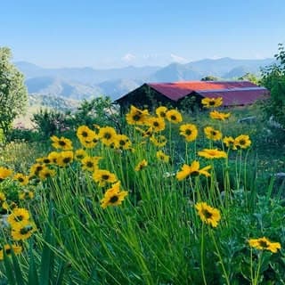 Itmenaan Lodges