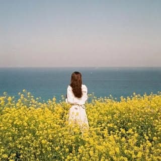 Ayushi | Writer and Poet