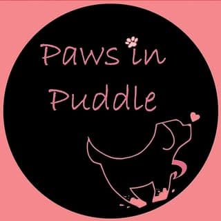 Paws in Puddle🐾