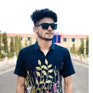 Honey Pareek Kyamsar