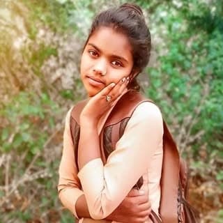m_panku_220