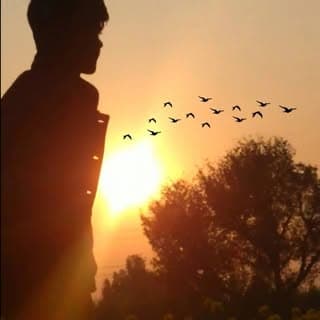MOHDFAIZ