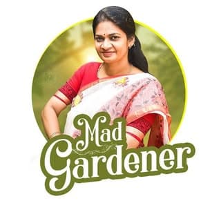 Madhavi Guttikonda