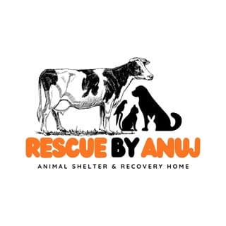 Anuj Dhasmana