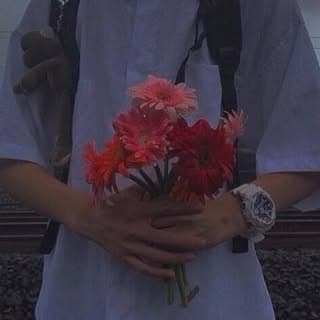 °mijanu°
