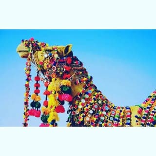 JodhpurClicks 🐫🐪