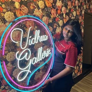 vidhuz gallerie