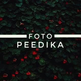 foto_peedika