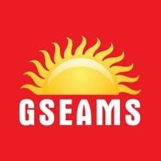 GSEAMS