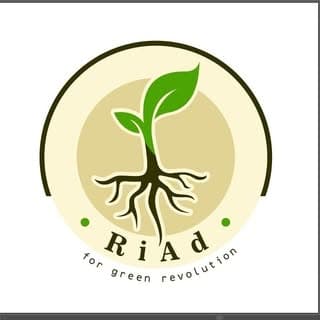 RiAd Indoor Plants & Home Decor