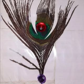 Rathod Vikash