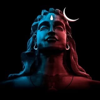 Official Account
