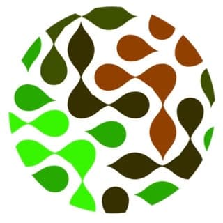 Earth Yoga Village