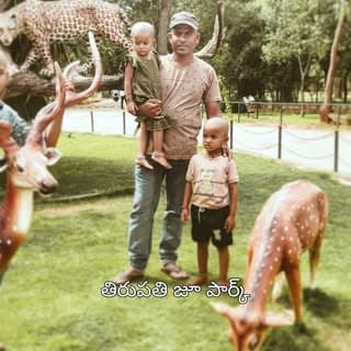 Venkata Reddy Bijjam