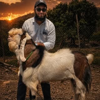 Areeb Narkar
