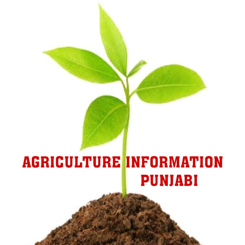 Agriculture Information Punjabi