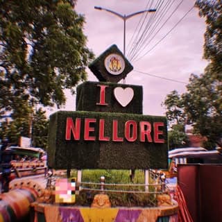 Nellore Vlogger